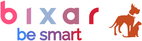 Bixar — be smart